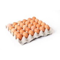 
              Local Egg
            