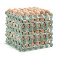 Local Egg