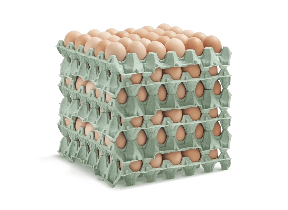 Local Egg